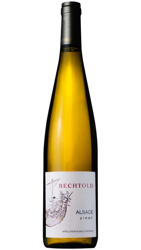 Pinot 2023