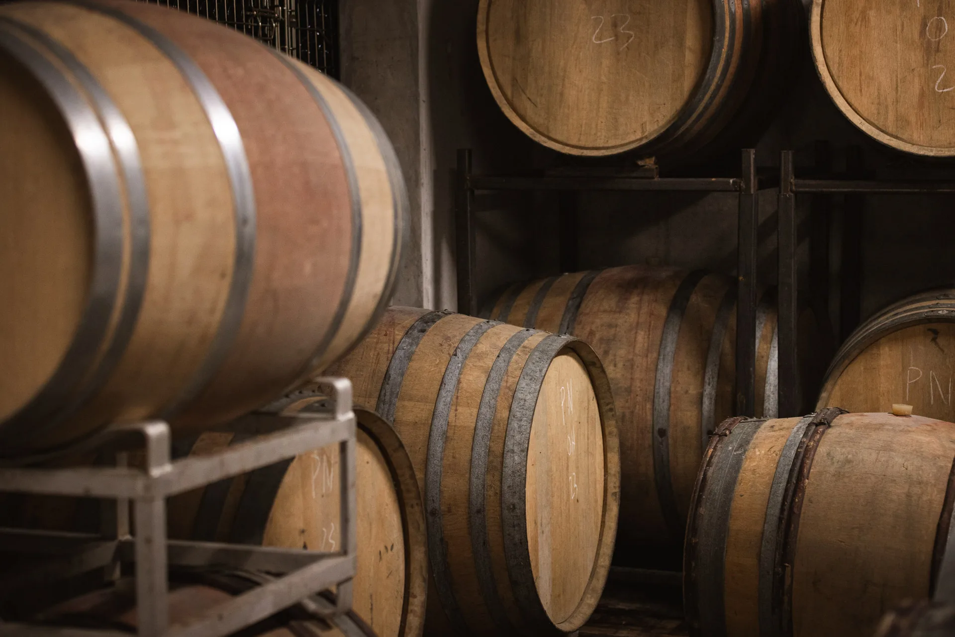 dégustation vin domaine bechtold