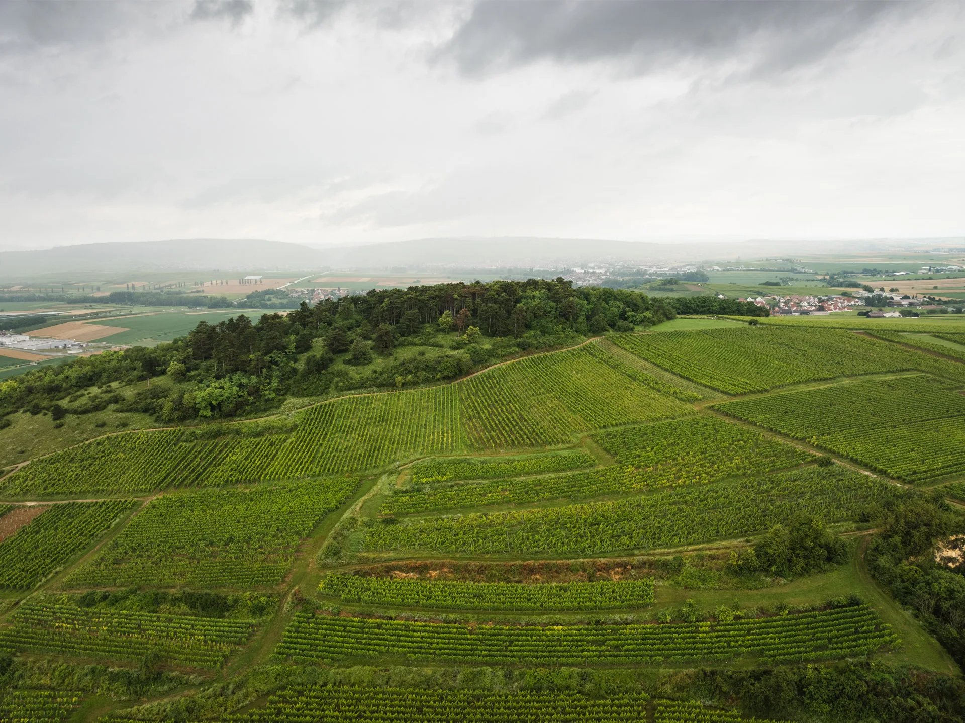 Domaine bechtold vigne parcelles